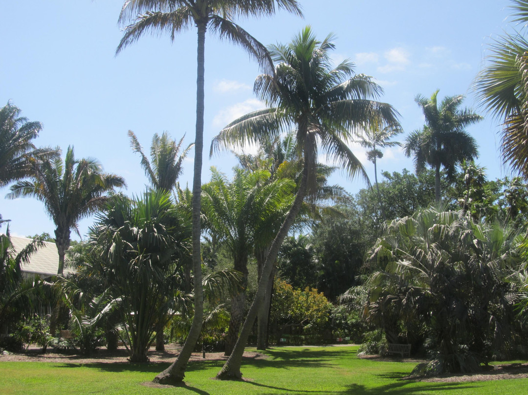 Fairchild Tropical Botanic Garden-科勒尔盖布尔斯必去景点