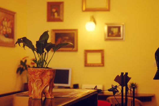 嫣然小屋旅馆-客卧