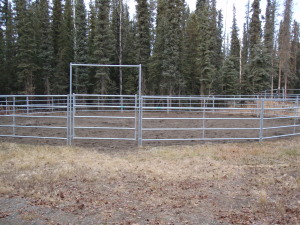 Tok Line Camp Bed & Breakfast-官方