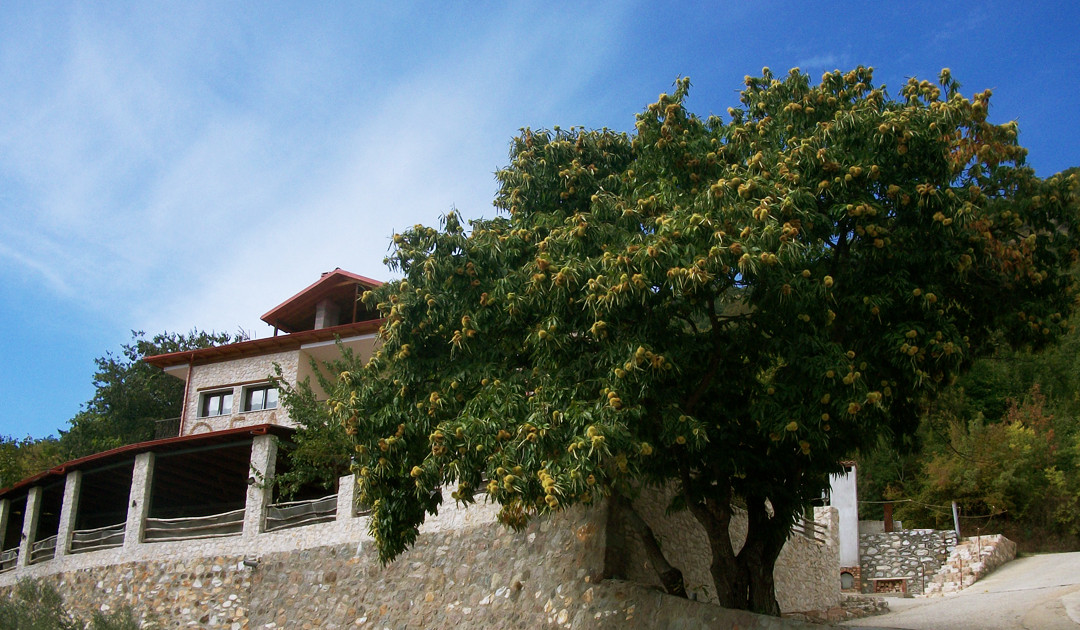 Guesthouse View