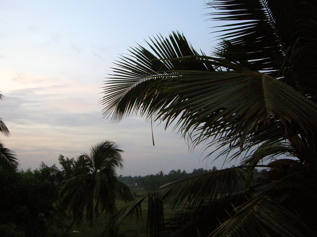 Colva Beach-Colva必去景点