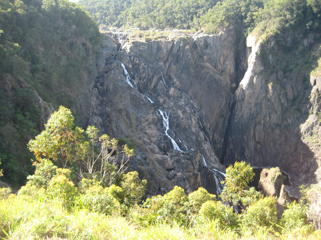 Down Under Tours - Day Tours-凯恩斯必去景点