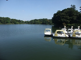 Senzokuike Park-大田区必去景点