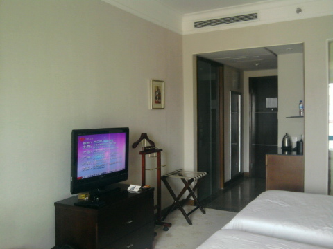 远洋大酒店-客卧