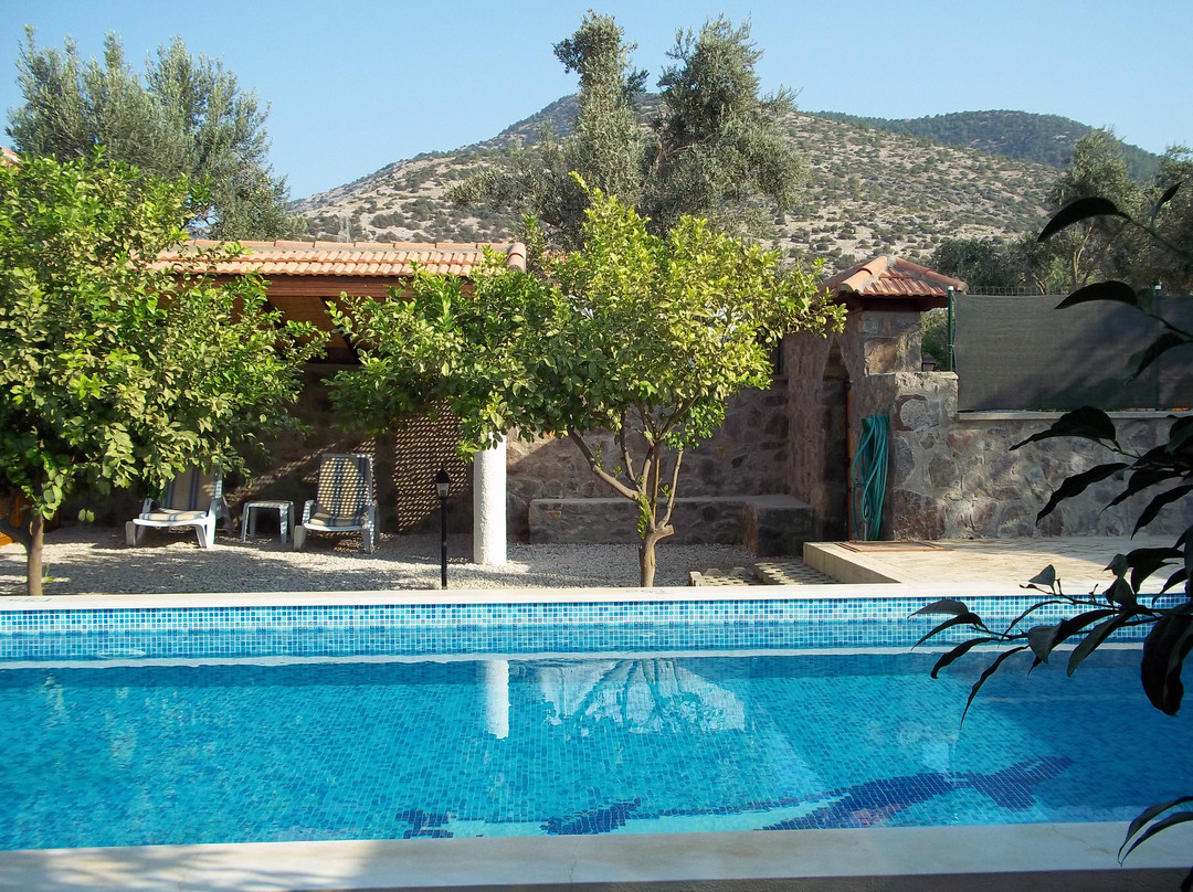 Taner Villa