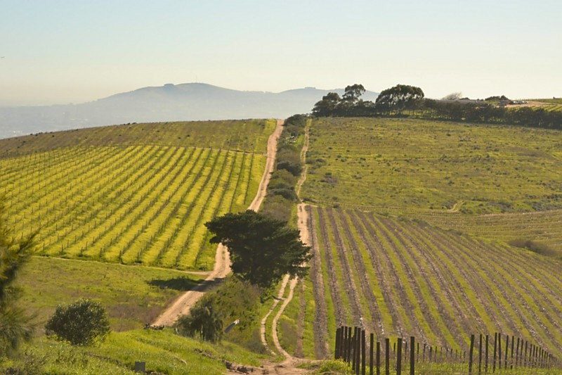 Mooiplaas Wine Estate-斯泰伦博斯必去景点