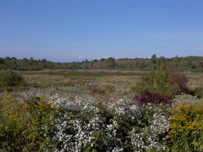 Blue Skye Farm主图