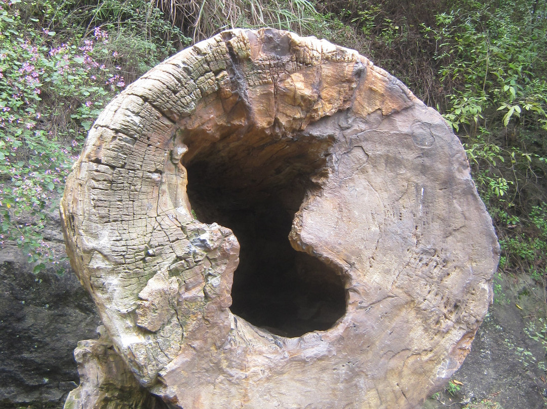 大佛寺景区-新昌县必去景点