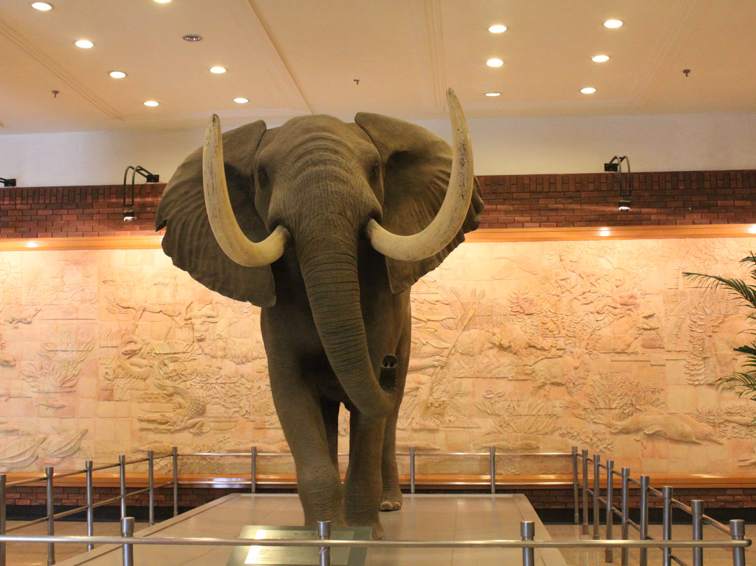 大连自然博物馆-大连市必去景点