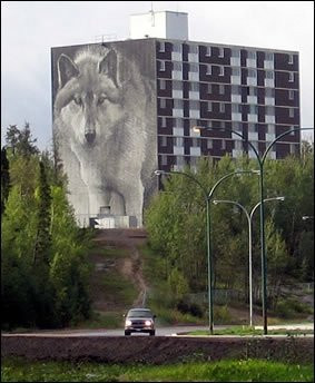 Wolf Mural-Thompson必去景点