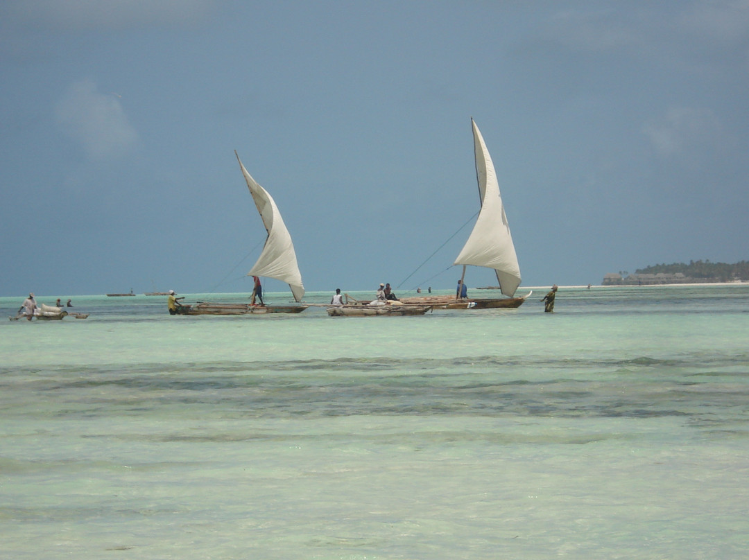 Fairmont Zanzibar Diving景点图片