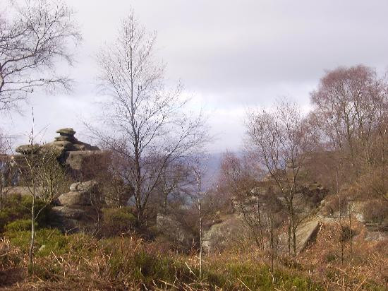 Brimham Rocks景点图片