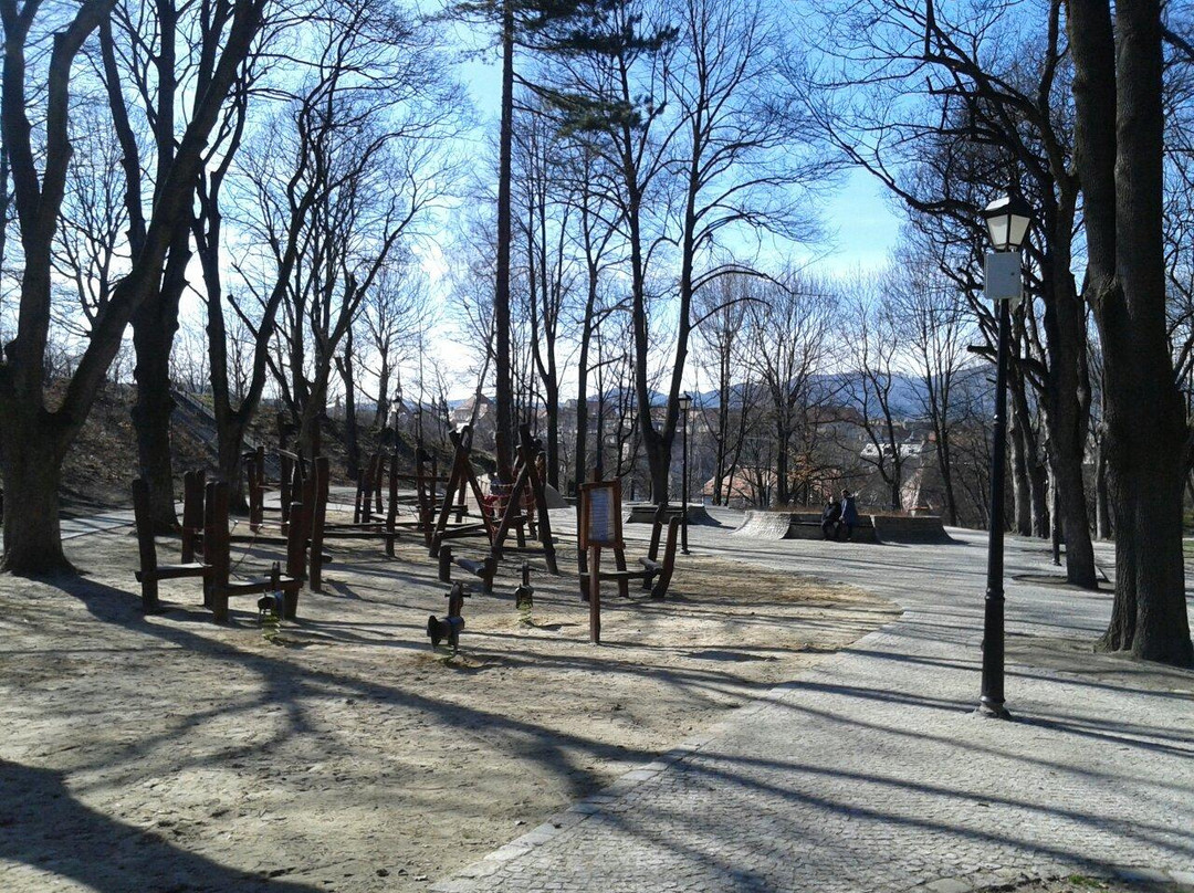 Jan III Sobieski Park景点图片