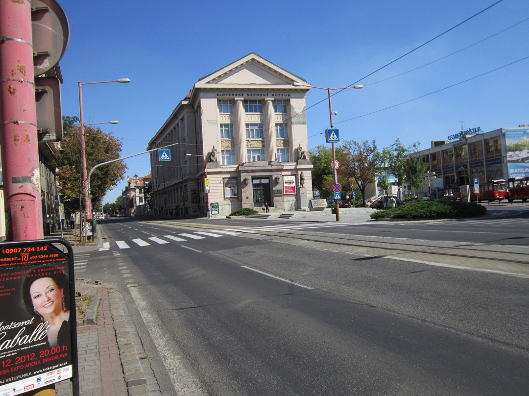 Slovak National Museum (Slovenske narodne muzeum)-布拉迪斯拉发必去景点