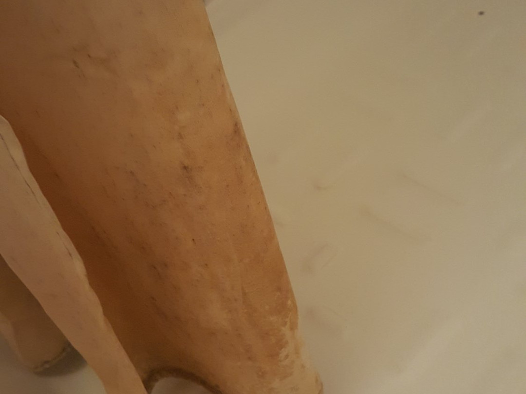 Appartement Compagnie Immo MK