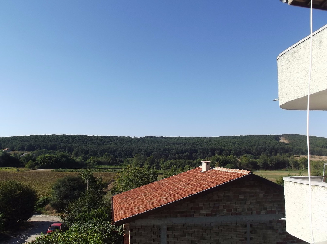 Velikovi Guest House