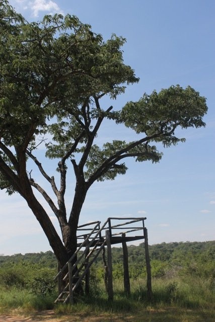 Tuskers Camp Site