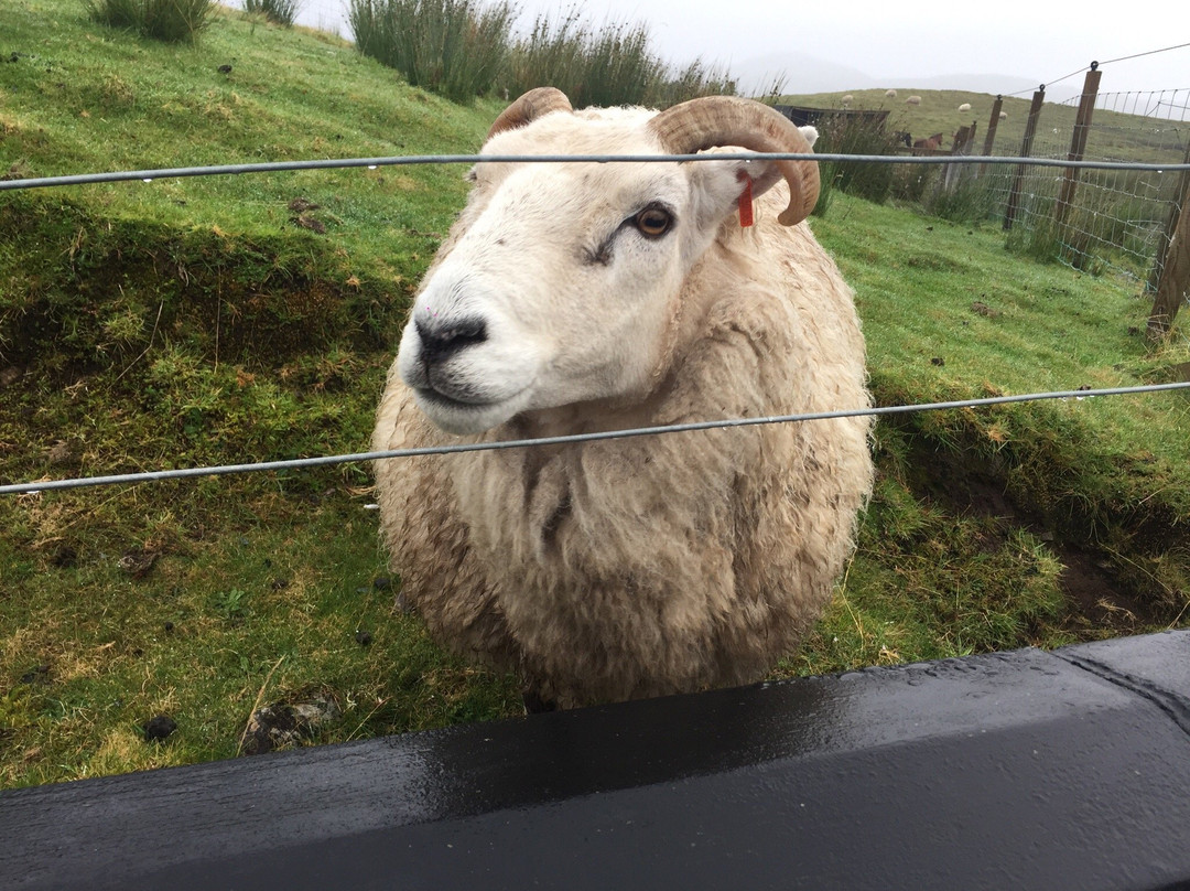 Tir Alainn Bed & Breakfast Edinbane