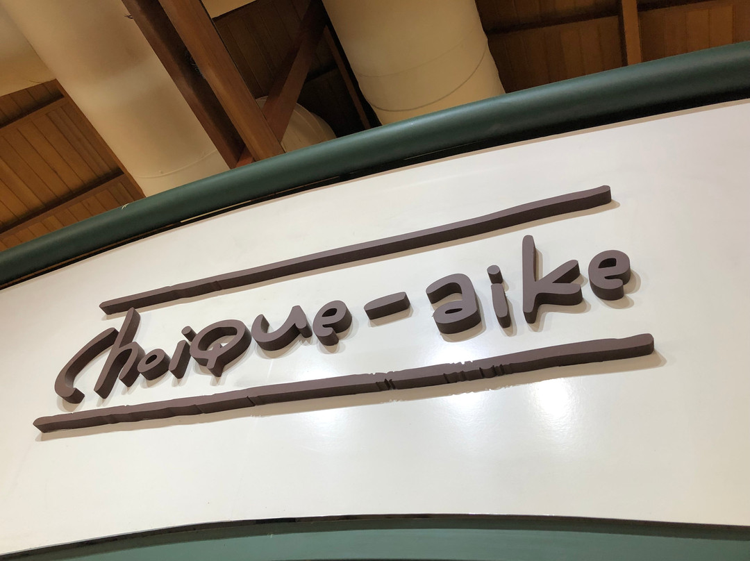 Choique-aike By Irune