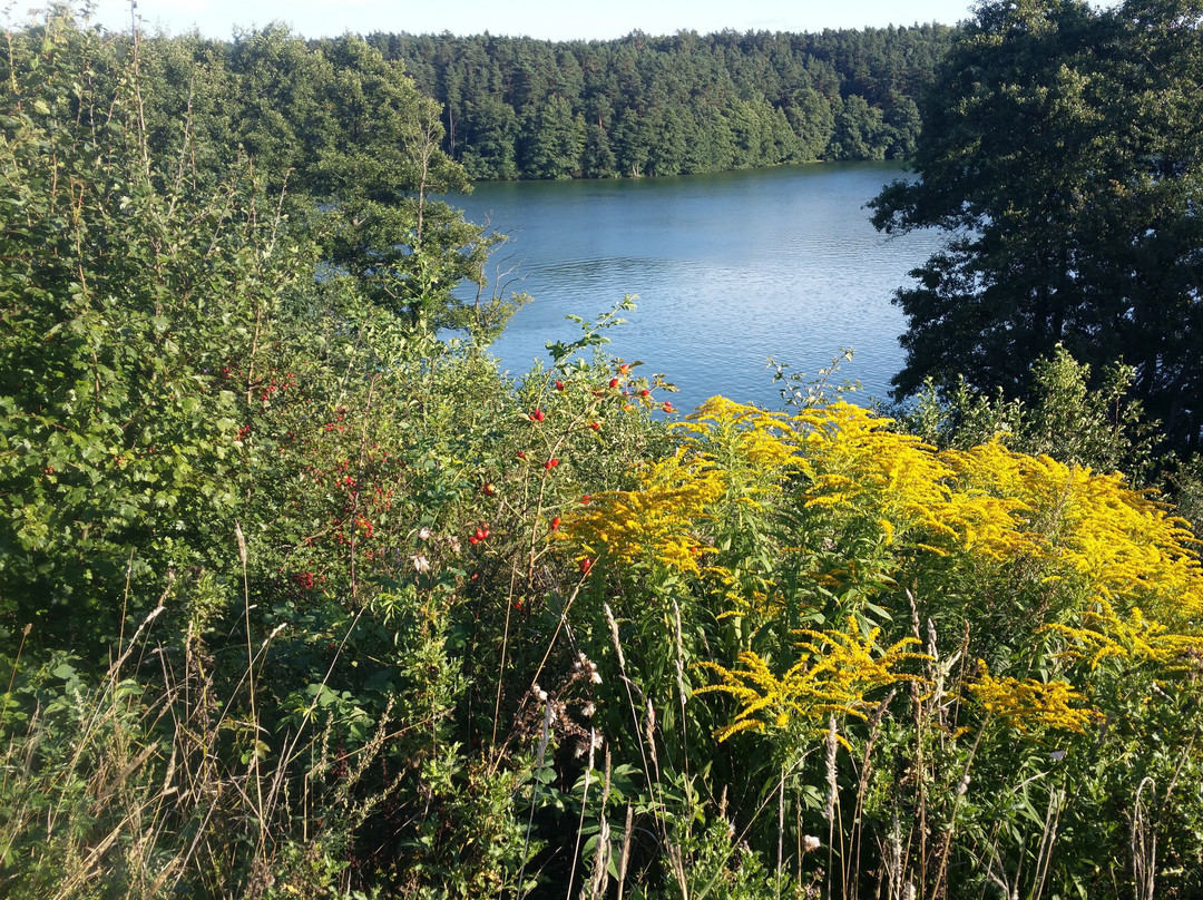 Camping Ukiel