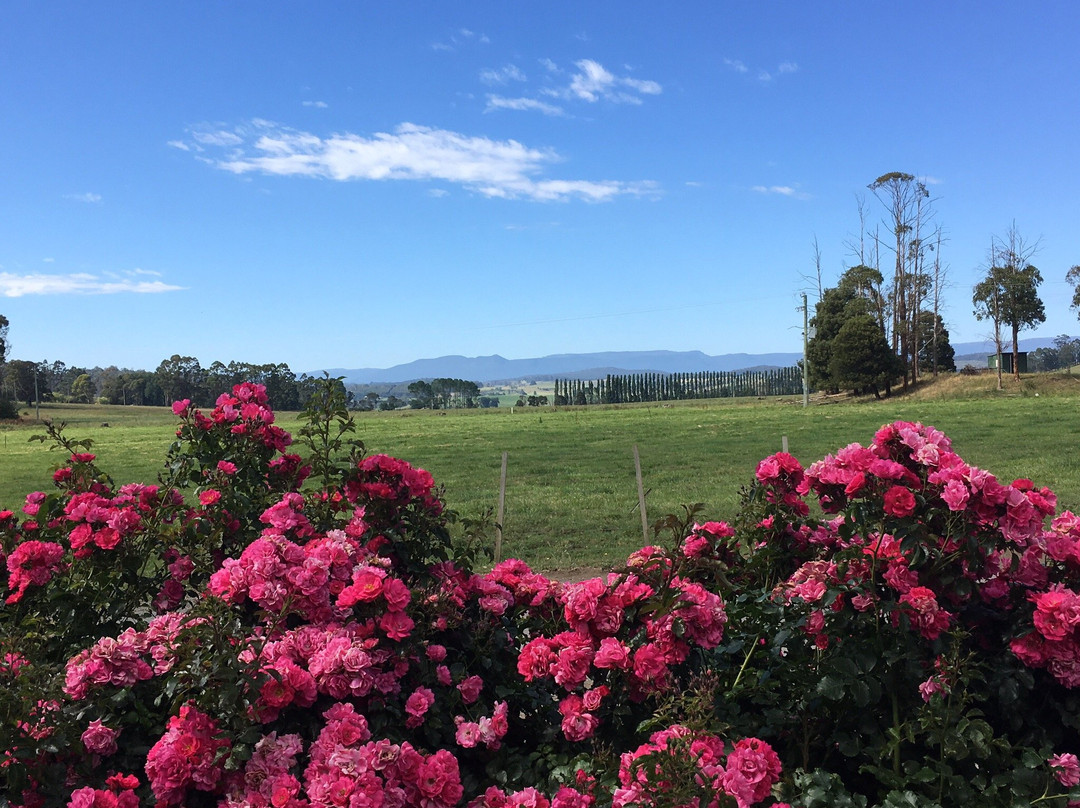 Elizabeth Town旅游攻略图片