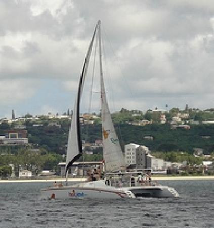 Heatwave Catamaran Sailing Day Cruises景点图片