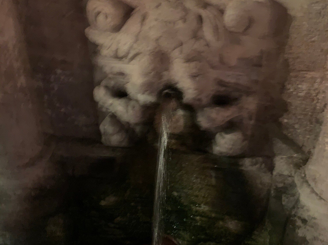Rimondi Fountain景点图片