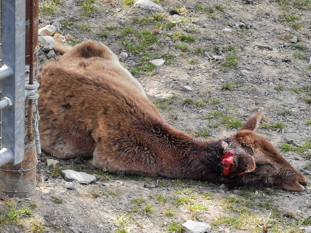 La Ferme Coudert-Vallerargues必去景点