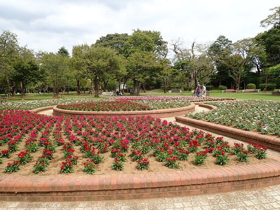 Satomi Park-市川市必去景点