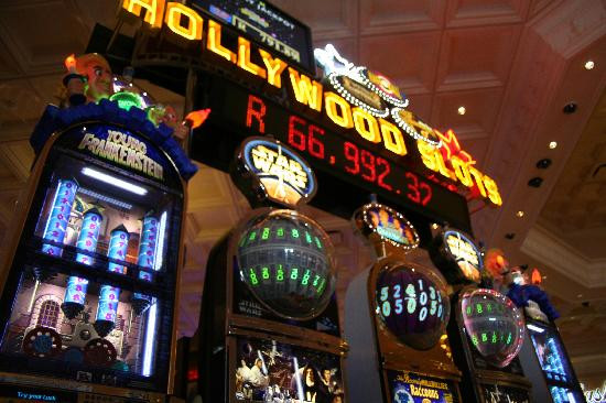 Flamingo World-金伯利必去景点