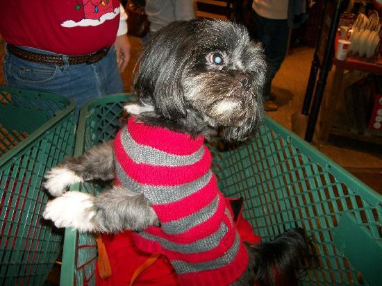 Bass Pro Shops Outdoor World-塞维尔维尔必去景点