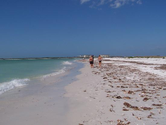 Caladesi Island State Park-达尼丁必去景点