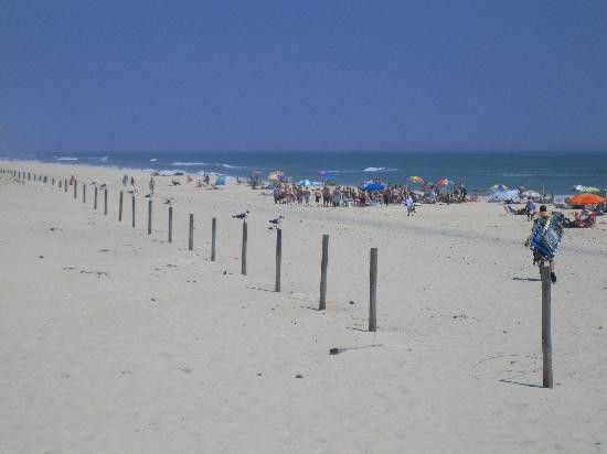 Assateague Beach-Assateague Island必去景点