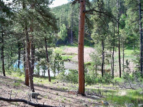 Legion Lake-卡斯特必去景点