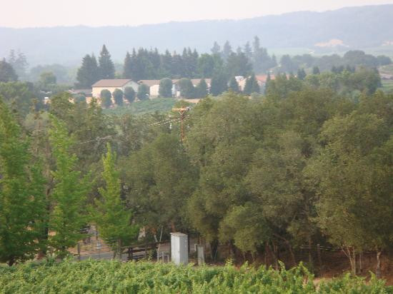 Lambert Bridge Winery景点图片