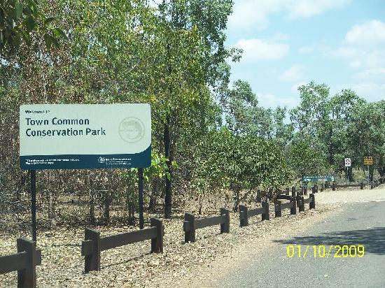 Townsville Town Common Conservation Park-汤斯维尔必去景点