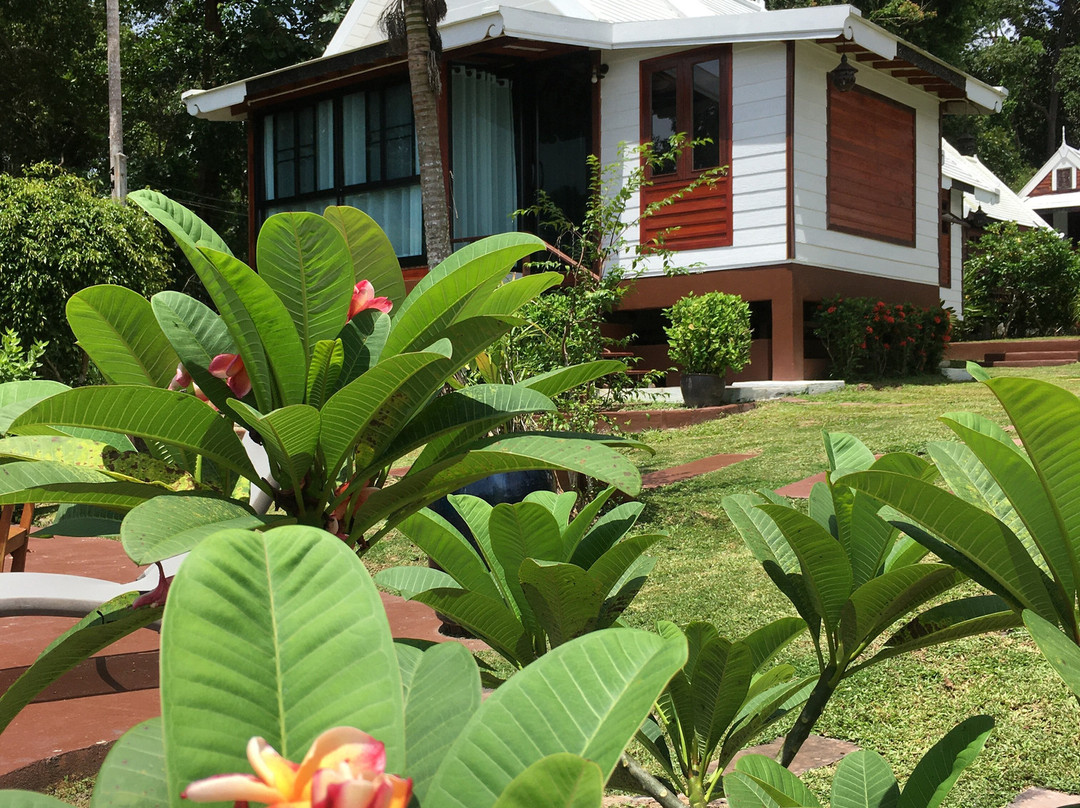 Le Passe-Temps主图