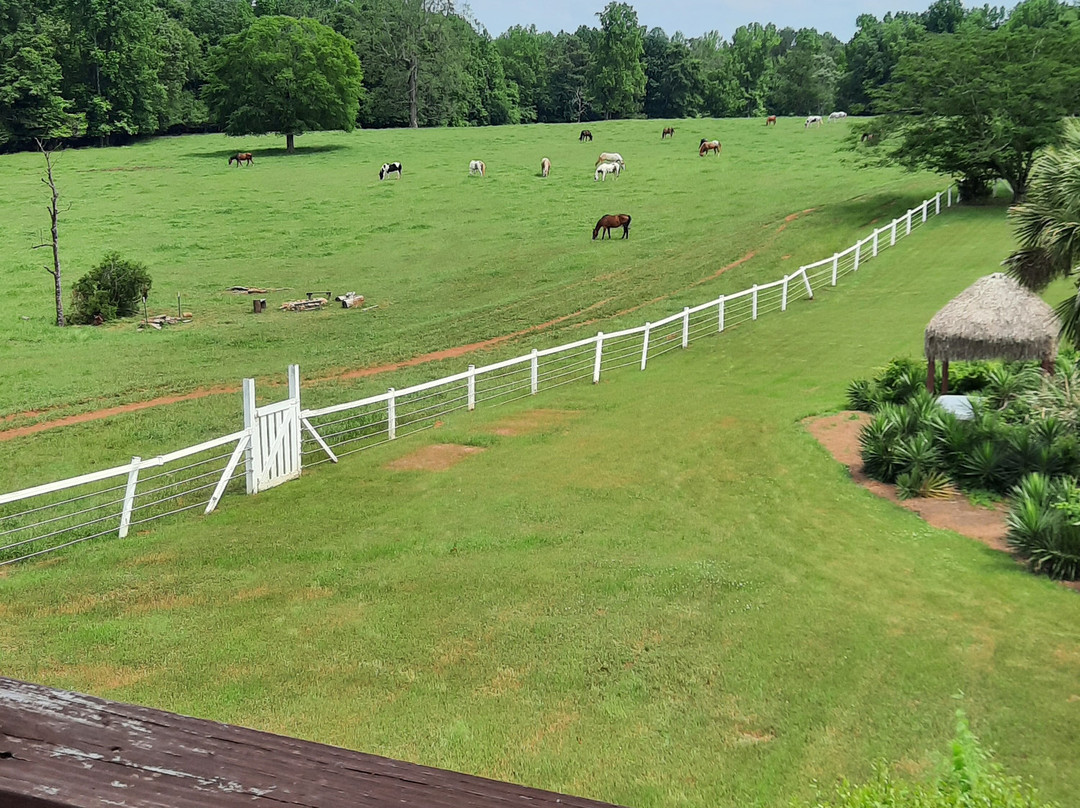 Southern Cross Ranch主图