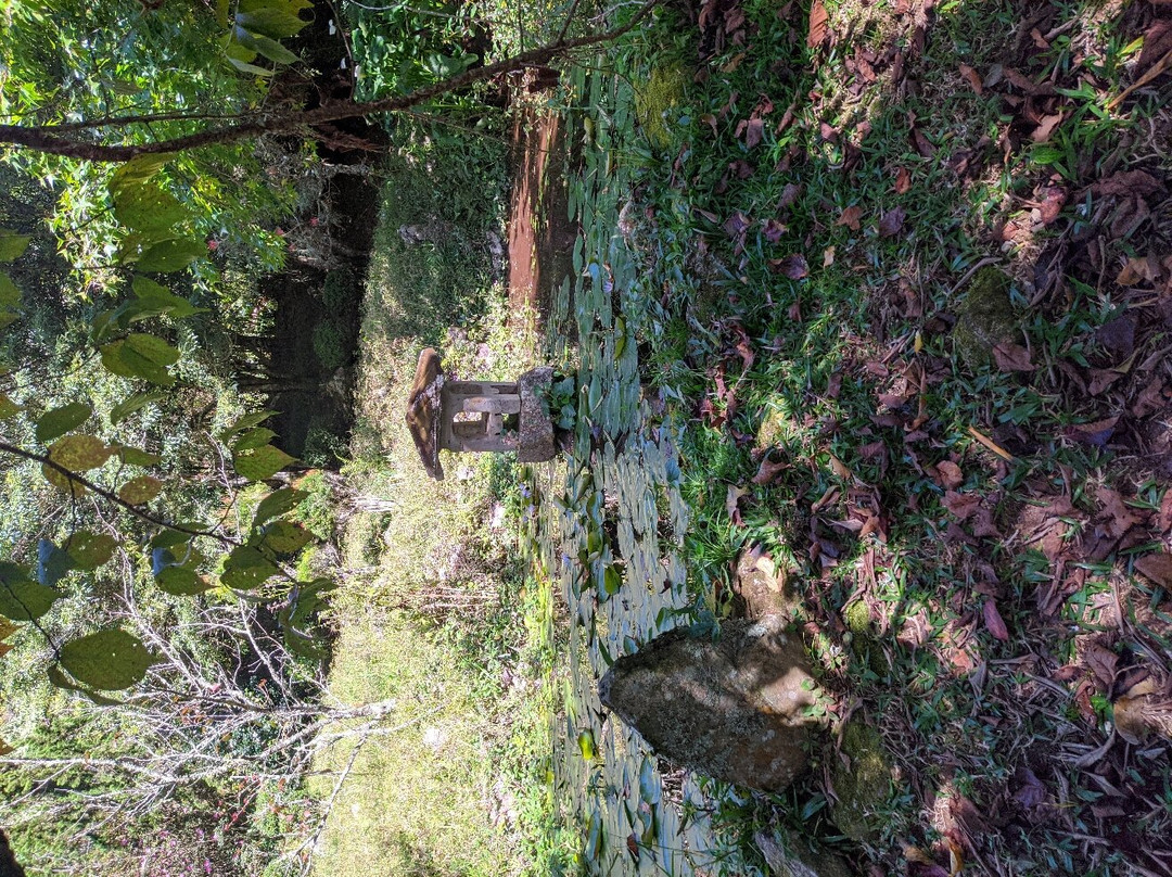 Fazenda Renopolis-圣安东尼奥杜皮尼亚尔必去景点