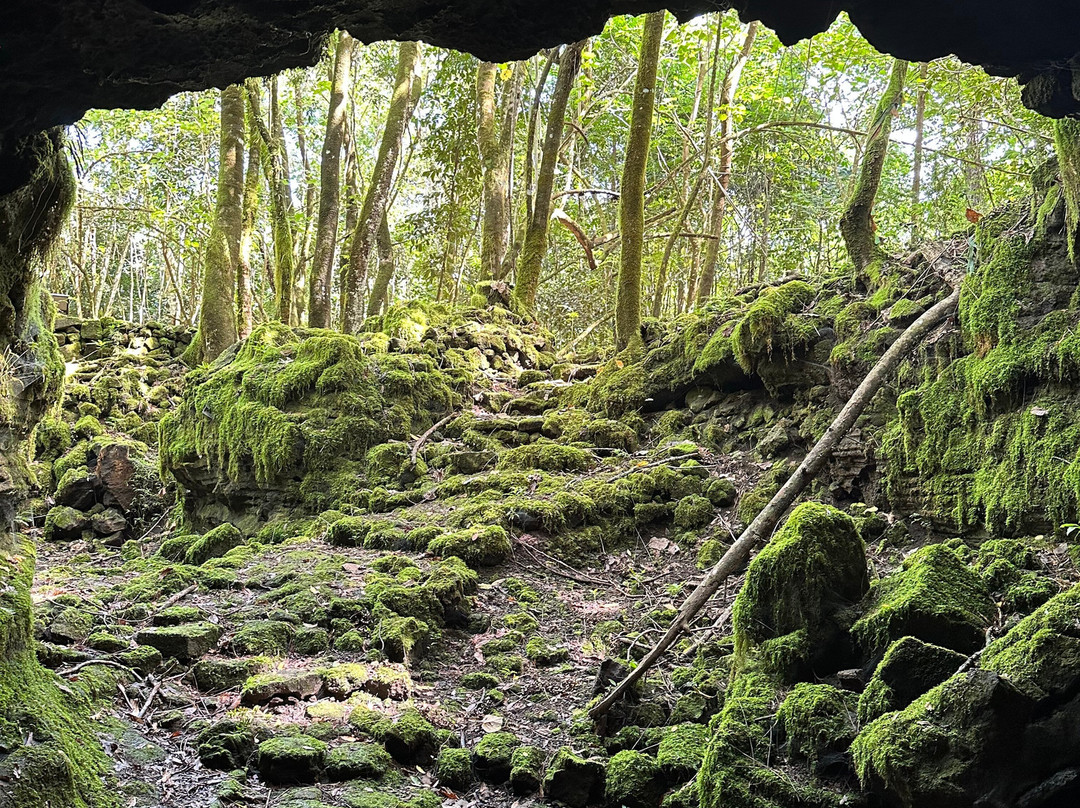 Aopo Lava Tubes-萨瓦伊岛必去景点