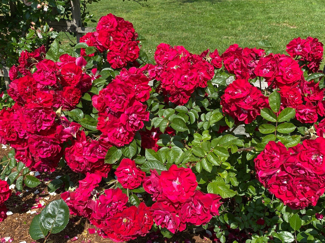 Boothe Memorial Park and Museum-Stratford必去景点