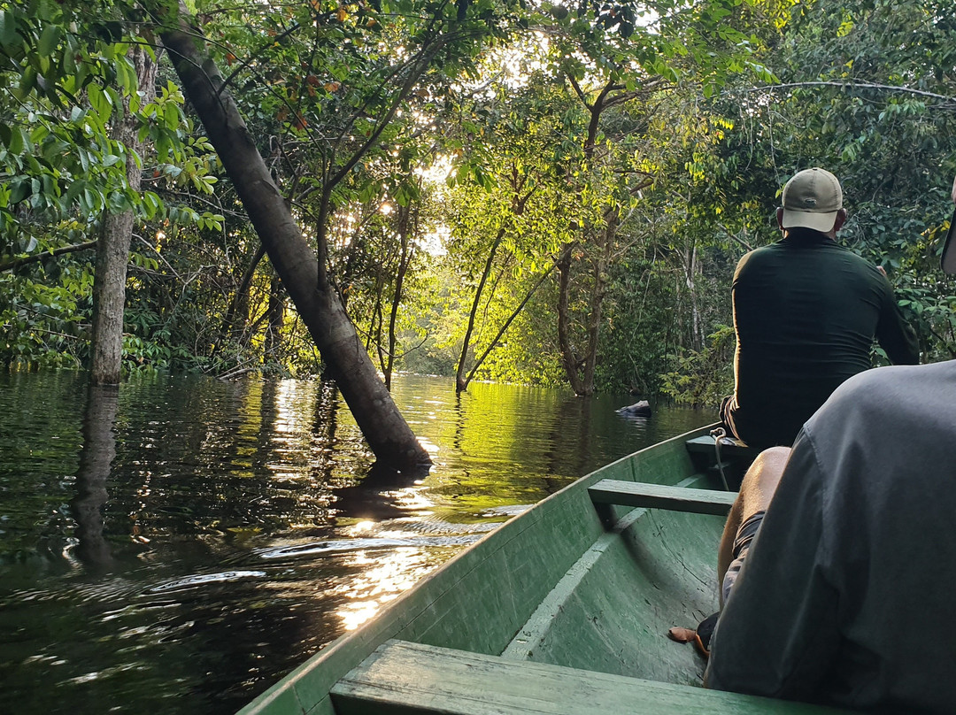 Amazon Green Island tour-Novo Airao必去景点