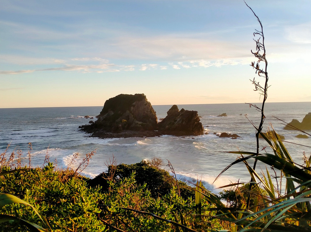 Tauranga Bay Seal Colony-韦斯特波特必去景点