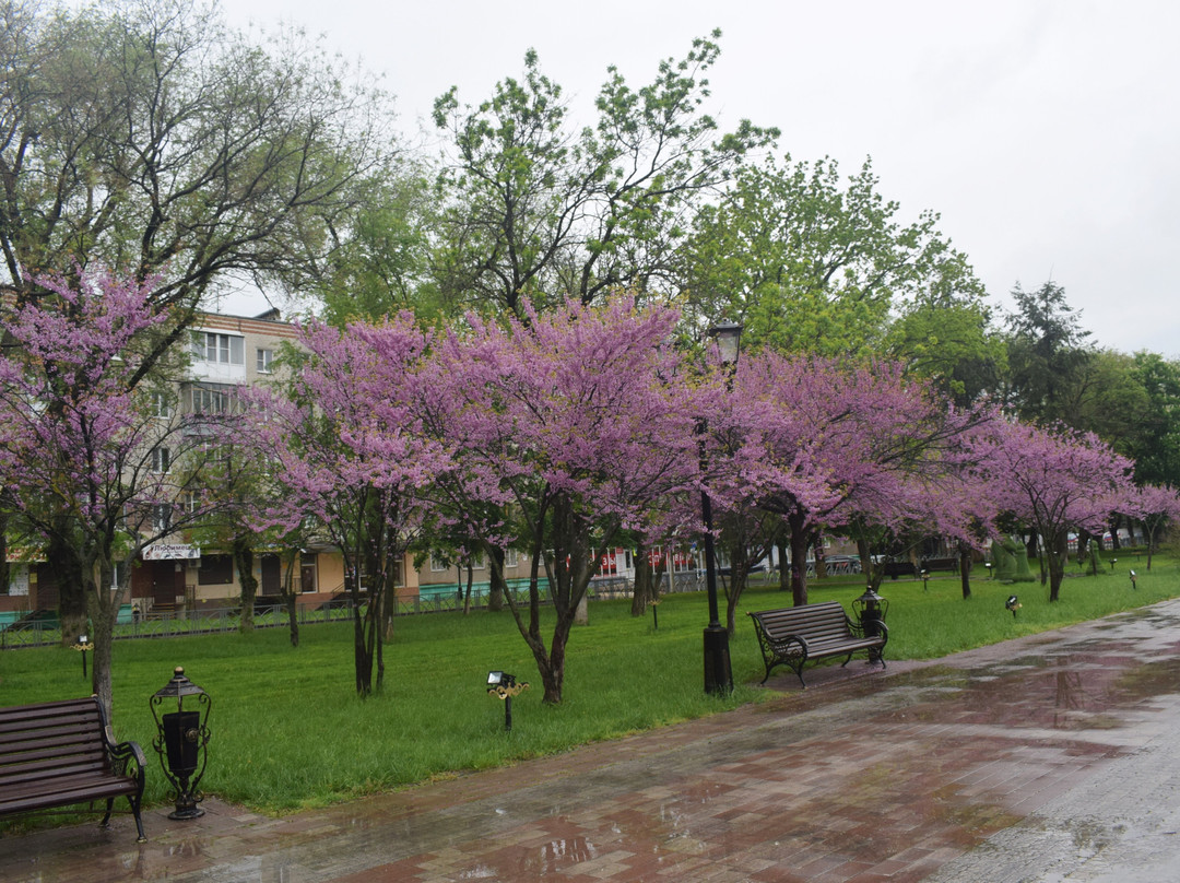 Mira Blvd.