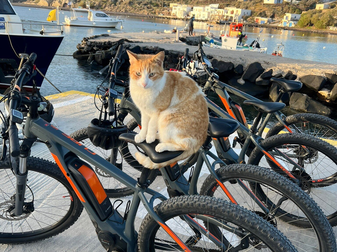 Explore Thirasia E-Mountain Bike-锡拉夏岛必去景点