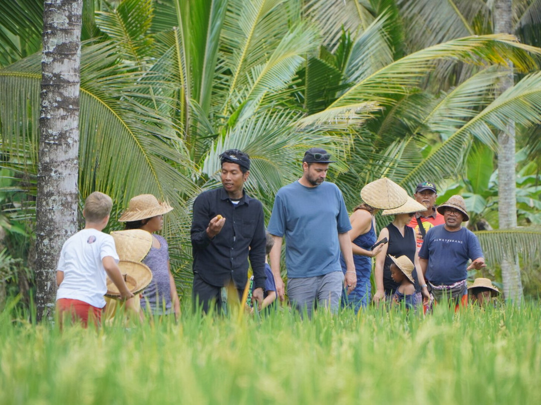 Bali Agritours景点图片