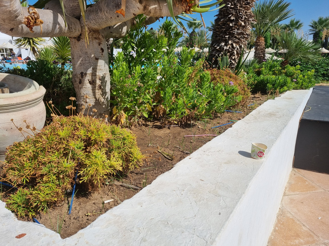 Club Palm Azur Families and Couples主图