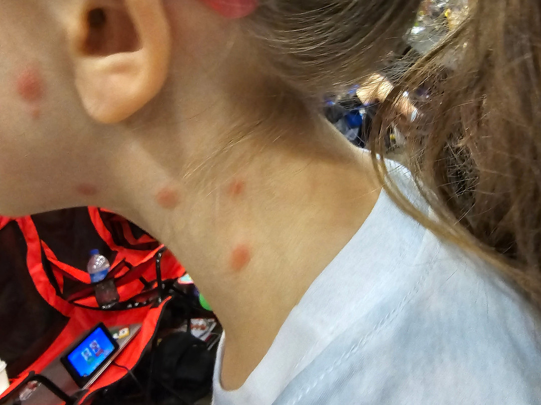 Wingate by Wyndham Chantilly / Dulles Airport主图