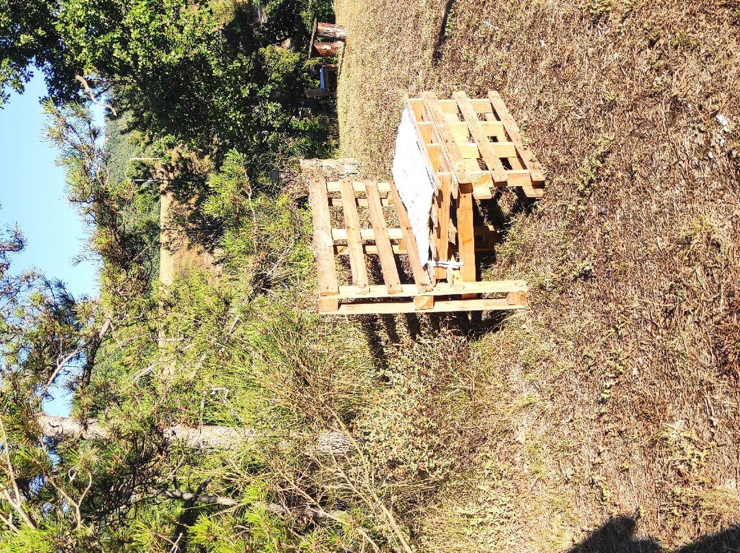 坎坡伦戈橡树酒店主图