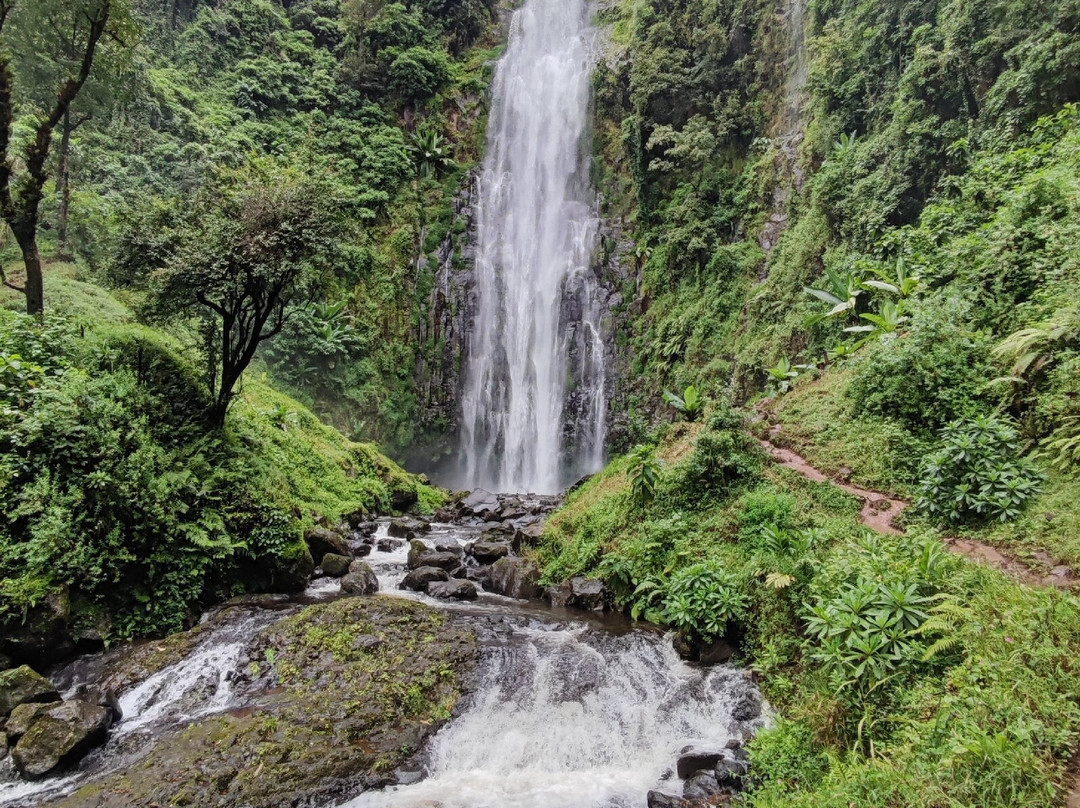 Wadudu Home & Adventure-莫西必去景点